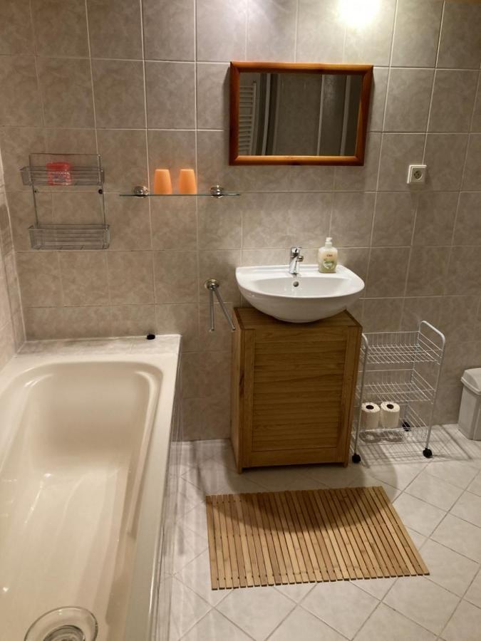 Apartman Na Ostrove Beroun ベロウン エクステリア 写真