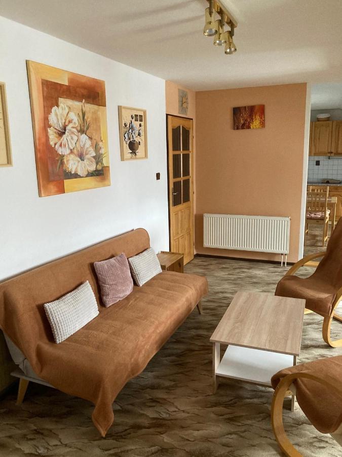 Apartman Na Ostrove Beroun ベロウン エクステリア 写真