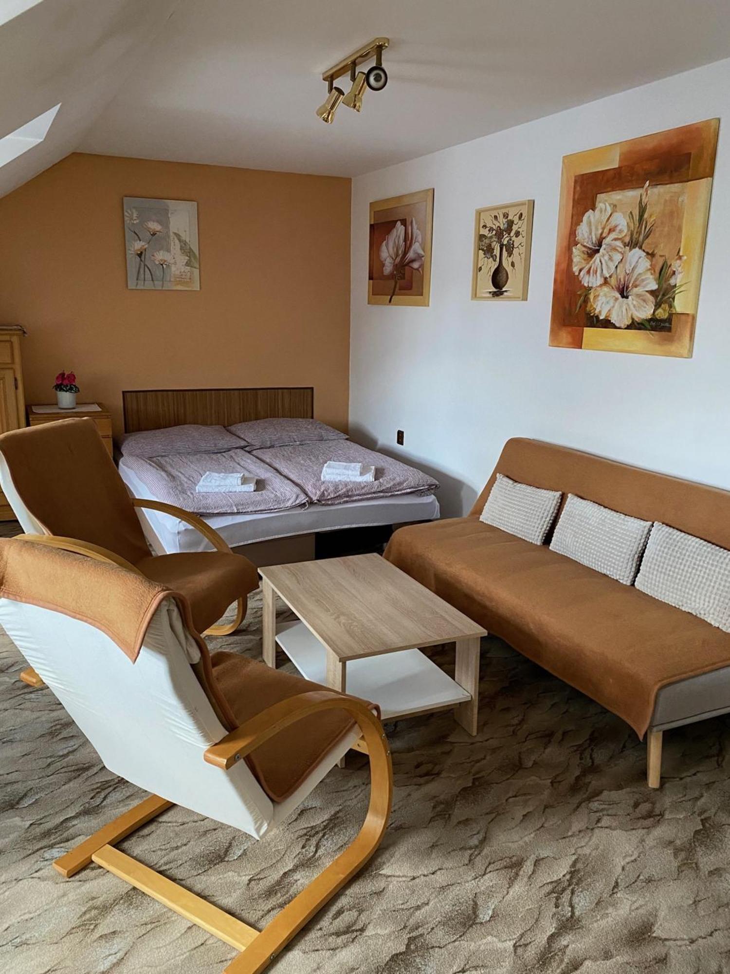 Apartman Na Ostrove Beroun ベロウン エクステリア 写真