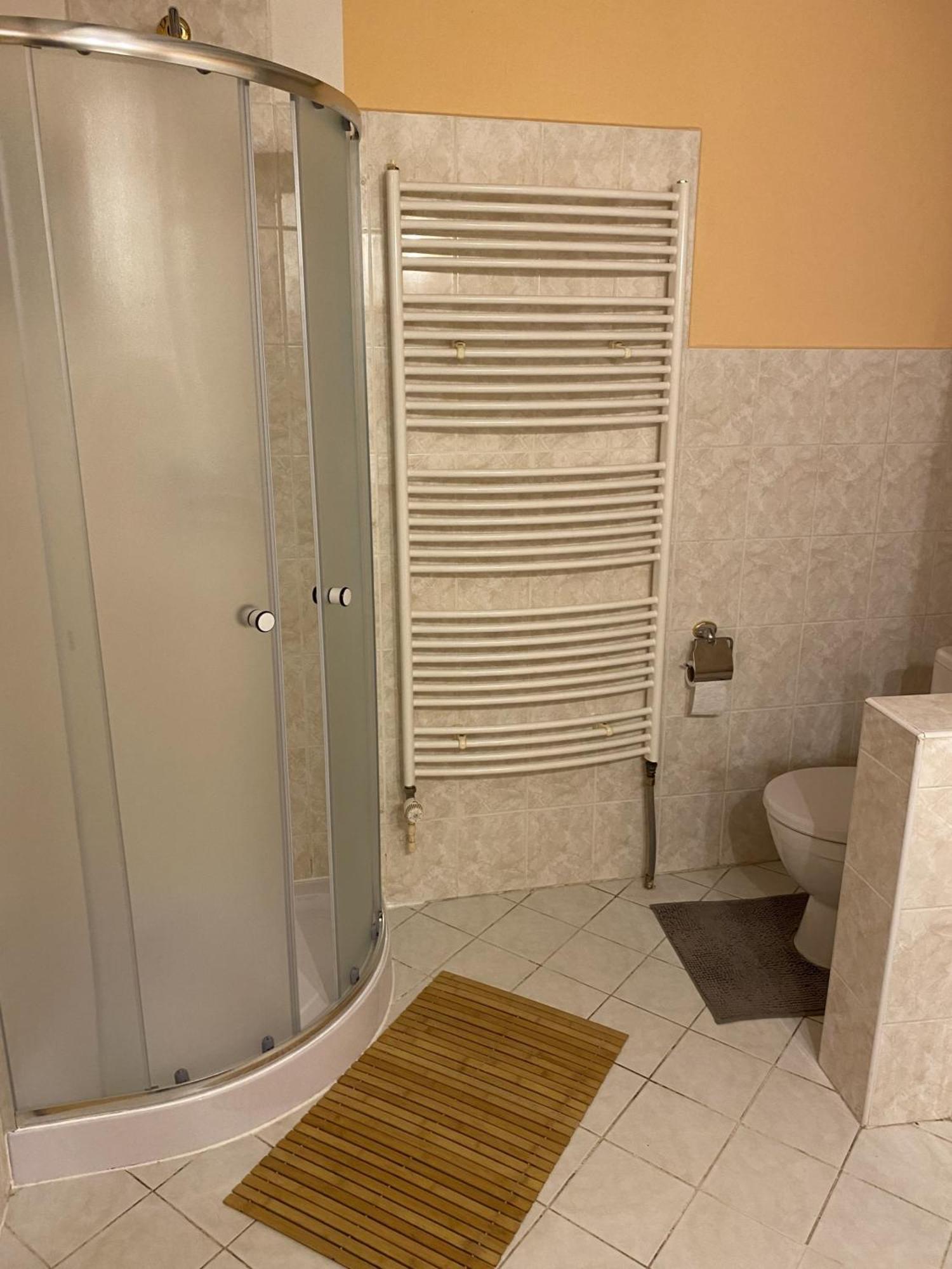 Apartman Na Ostrove Beroun ベロウン エクステリア 写真